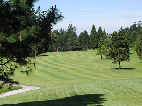 RedTail Golf Course - Portland, Oregon - Golf Course Picture