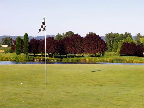 Heron Lakes - Greenback Course - Portland, Oregon - Golf Course Picture