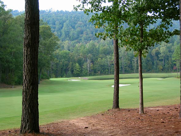 Limestone Springs Golf Club - Oneonta, Alabama - Golf Course Picture