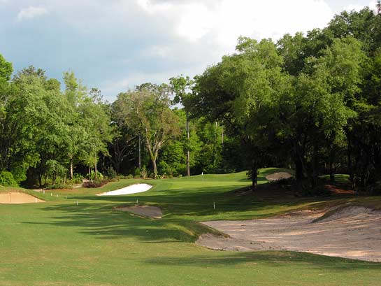 El Diablo Golf & Country Club - Citrus Springs, Florida - Golf Course Picture