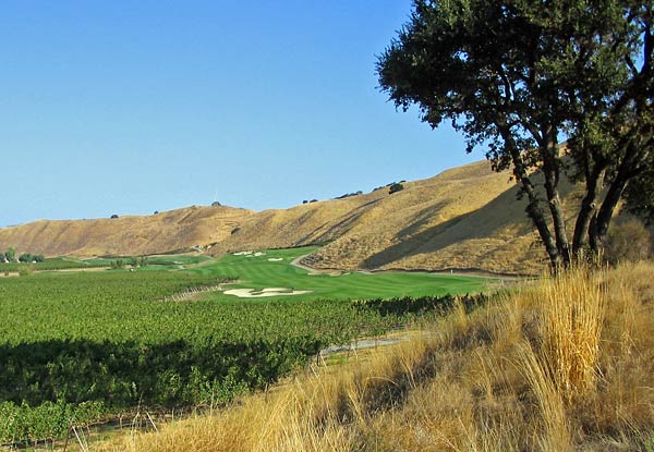 The Course at Wente Vineyards - Livermore, California - Golf Course Picture