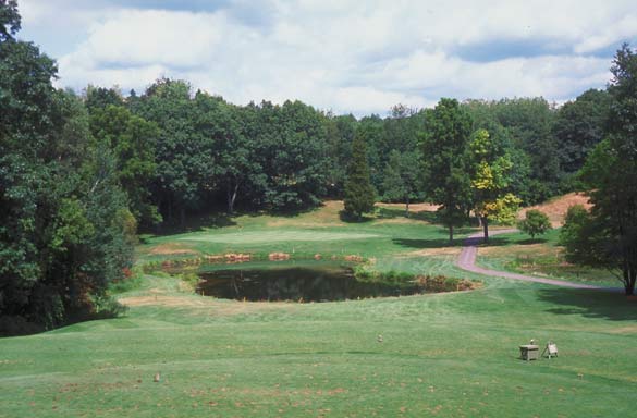 Gull Lake View Golf Club - East - Battle Creek, Michigan - Golf Course Picture