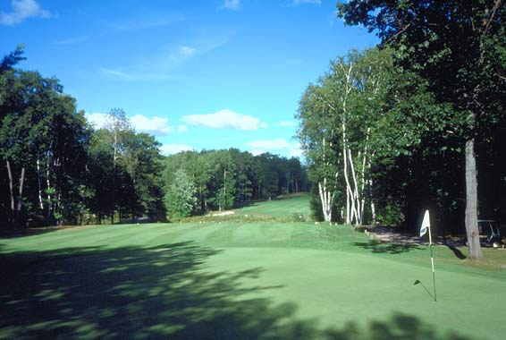 The Natural at Beaver Creek Resort - Gaylord, Michigan - Golf Course Picture