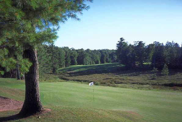 The Natural at Beaver Creek Resort - Gaylord, Michigan - Golf Course Picture