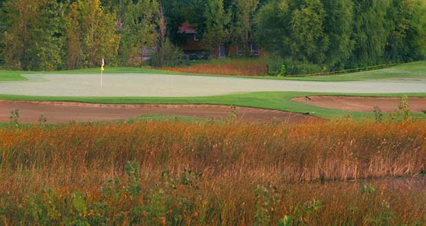 Maple Meadows Golf Course - Chicago, Illinois - Golf Course Picture