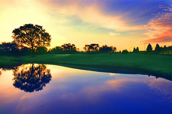 Maple Meadows Golf Course - Chicago, Illinois - Golf Course Picture