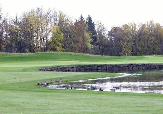 Reserve Vineyards - Cupp - Portland, Oregon - Golf Course Picture