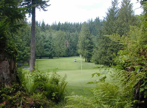 Port Ludlow Golf Club - Timber - Port Ludlow, Washington - Golf Course Picture