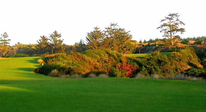 Bandon Dunes Golf Resort - Bandon - Bandon, Oregon - Golf Course Picture