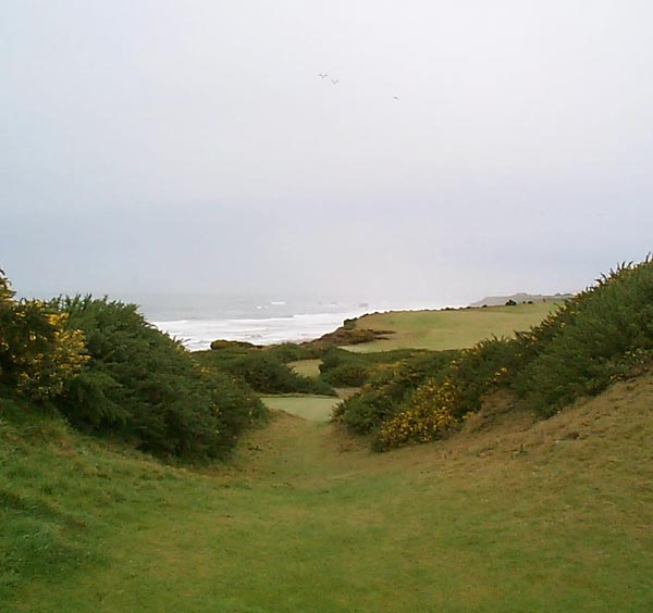 Bandon Dunes Golf Resort - Pacific - Bandon, Oregon - Golf Course Picture