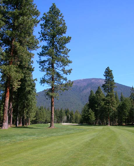 Black Butte Ranch - Big Meadow - Bend, Oregon - Golf Course Picture