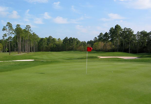 Woodlands at Craft Farms - Gulf Shores, Alabama - Golf Course Picture