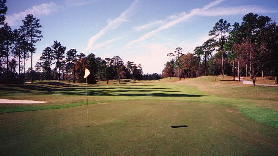 Timbercreek Golf Club - Gulf Shores, Alabama - Golf Course Picture