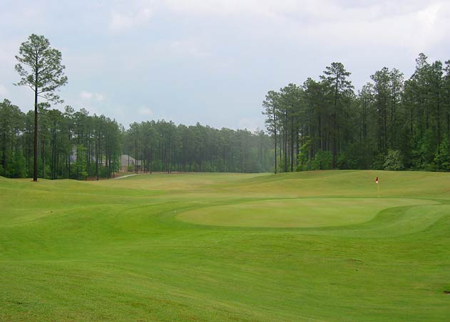 Timberton Golf Club - McCumber - Hattiesburg, Mississippi - Golf Course Picture