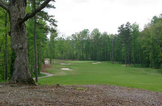 Bear Trace at Chickasaw - Henderson, Tennessee - Golf Course Picture