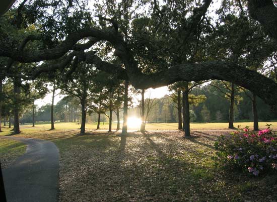 Gulf State Park Golf Course - Gulf Shores, Alabama - Golf Course Picture