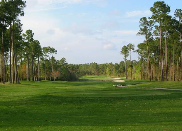 Woodlands at Craft Farms - Gulf Shores, Alabama - Golf Course Picture
