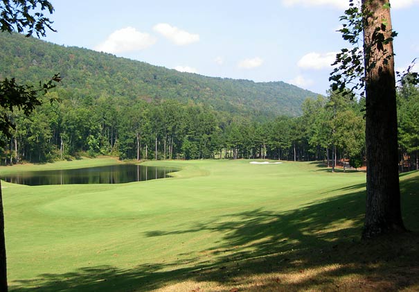 Limestone Springs Golf Club - Oneonta, Alabama - Golf Course Picture