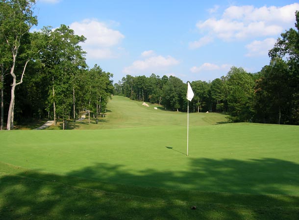 Limestone Springs Golf Club - Oneonta, Alabama - Golf Course Picture