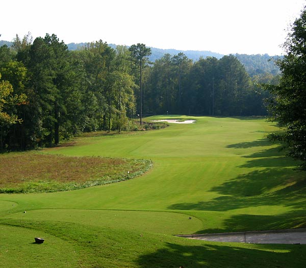Limestone Springs Golf Club - Oneonta, Alabama - Golf Course Picture