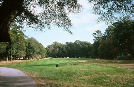 Sea Trail Plantation - Maples Course - Sunset Beach, North Carolina - Golf Course Picture