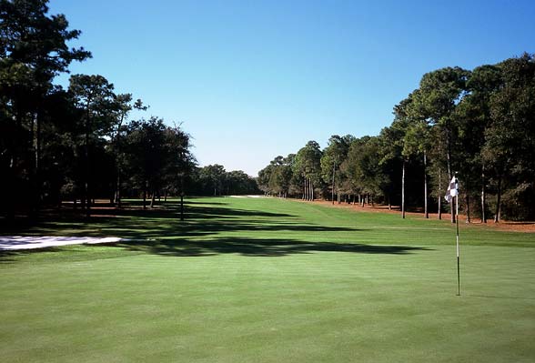 Tidewater Golf Club & Plantation - Myrtle Beach, South Carolina - Golf Course Picture