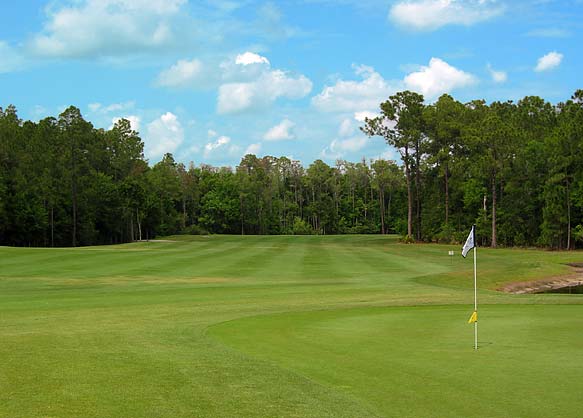 Eagles Golf Club - Forest - Tampa, Florida - Golf Course Picture