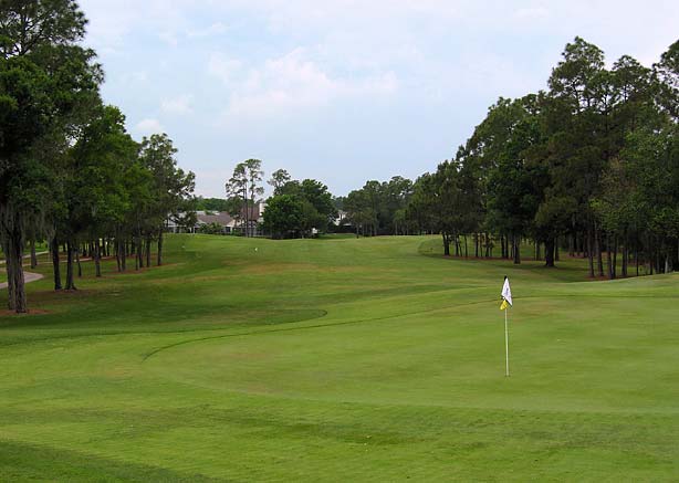Eagles Golf Club - Forest - Tampa, Florida - Golf Course Picture