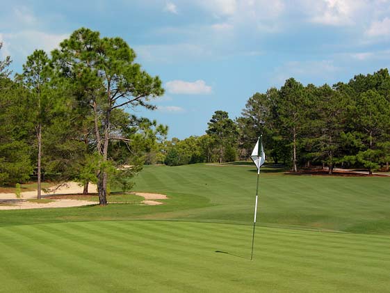 World Woods Golf Club - Pine Barrens - Brooksville, Florida - Golf Course Picture