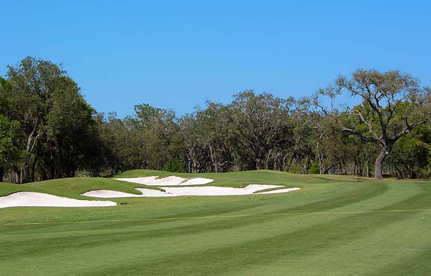Fox Hollow Golf Club - Tampa, Florida - Golf Course Picture