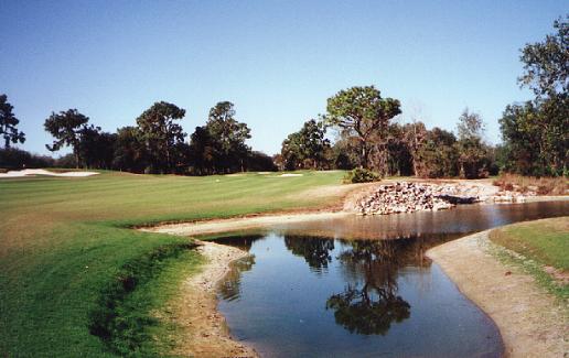Diamondback Golf Club - Orlando, Florida - Golf Course Picture