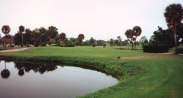 Palm River Country Club - Naples, Florida - Golf Course Picture