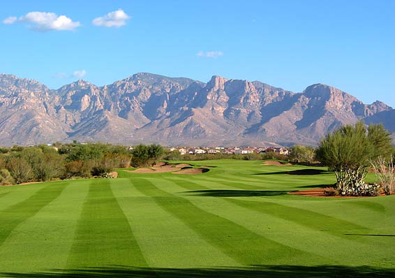Golf Club at Vistoso - Tucson, Arizona - Golf Course Picture