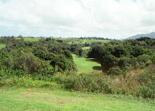 Princeville Resort - Prince Course - Princeville, Hawaii - Golf Course Picture