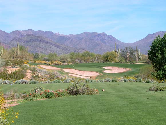 Grayhawk Golf Club - Raptor Course - Scottsdale, Arizona - Golf Course Picture