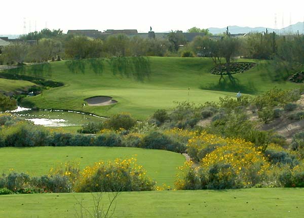 Grayhawk Golf Club - Raptor Course - Scottsdale, Arizona - Golf Course Picture
