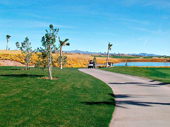 Boulder Creek Golf Club - Las Vegas, Nevada - Golf Course Picture